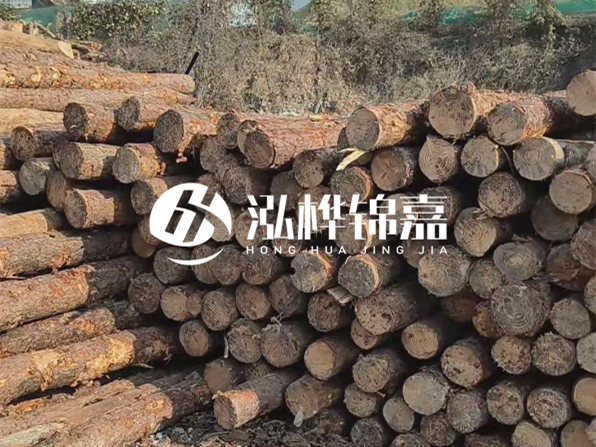 落葉松木材的主要產(chǎn)地在哪里？為什么比其他松木更耐腐蝕？