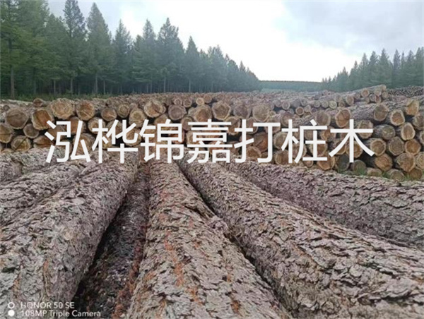 高效施工，圓松木樁助力建筑工程進(jìn)展順利